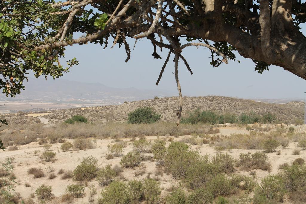 Casa Alegria Mazarron Villa Dış mekan fotoğraf