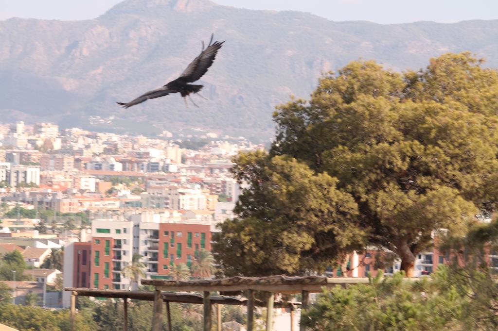 Casa Alegria Mazarron Villa Dış mekan fotoğraf